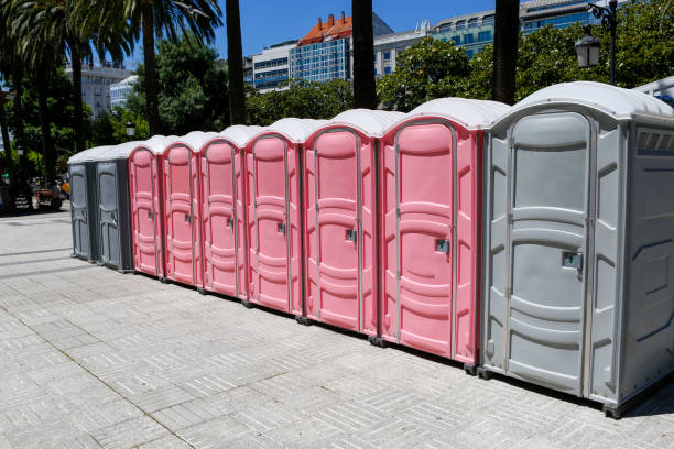 Best Portable Restroom for Sporting Events  in Lakeville, MN